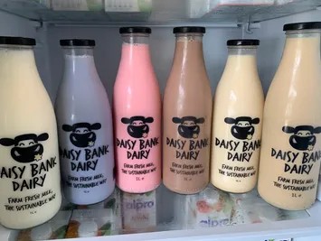 Milkshakes